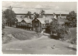 Gamla Uppsala, Odinsborg